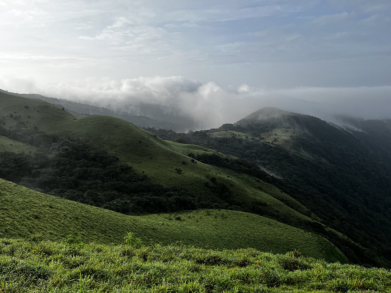 Misty Western Ghats hill ridges above Madikeri, Kodagu, Karnataka